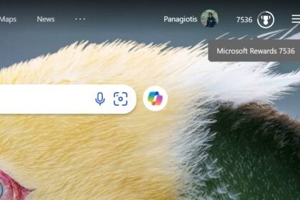 Bing Rewards