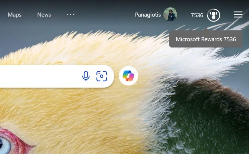 Bing Rewards