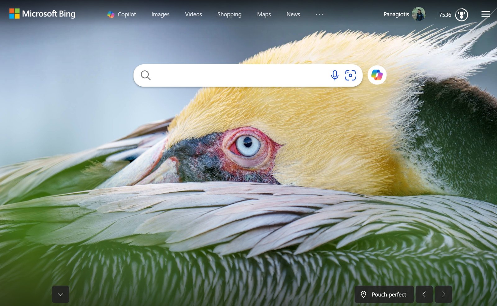 Microsoft Bing